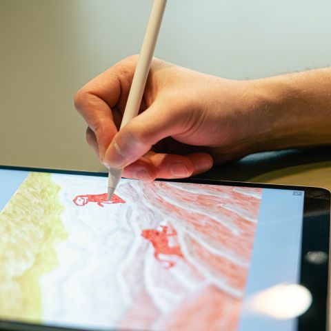 gumroad procreate stamps